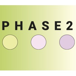 Phase 2