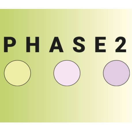 Phase 2
