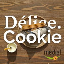 gaufrette chocolat x 2